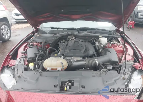 2019 Ford Mustang Ecoboost z USA, uszkodzony, nr VIN 1FA6P8TH1K5177948